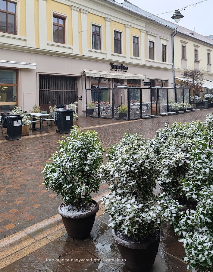 Foto von Trevino Oradea