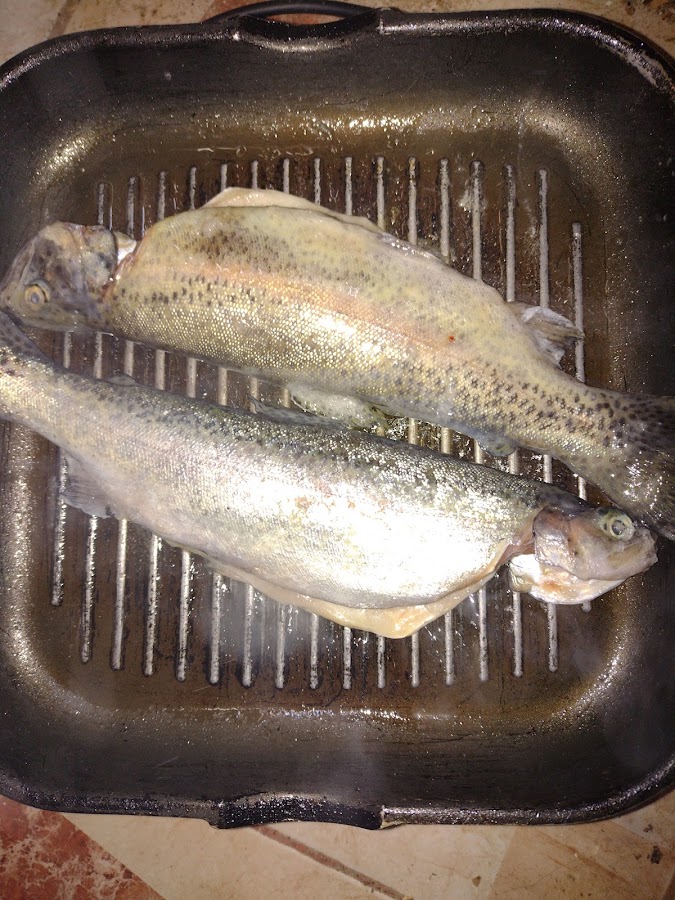 Photo de Happyfish Vașcău