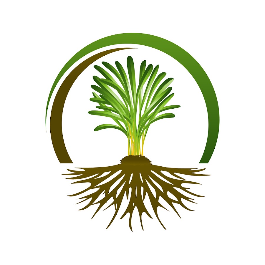 Photo of Bio Holistic SRL