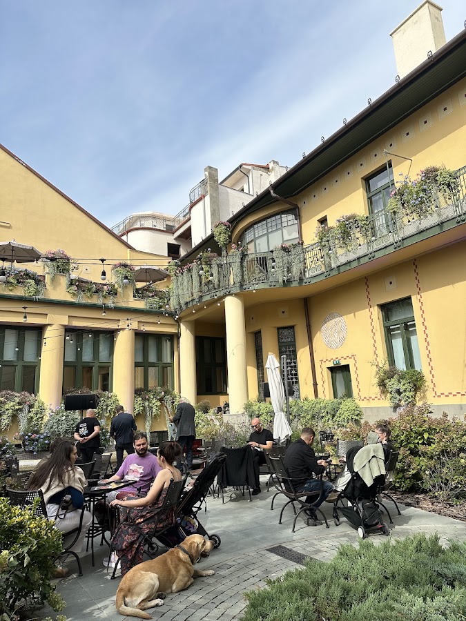 Photo de Street Coffee Roasters Casa Darvas