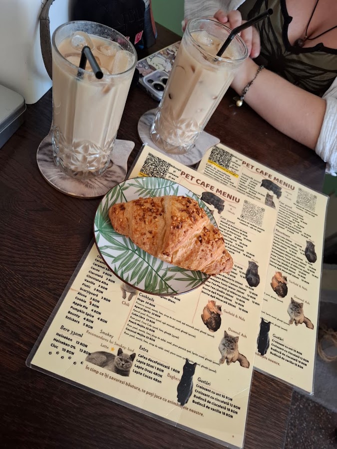 Photo of Pet Cafe