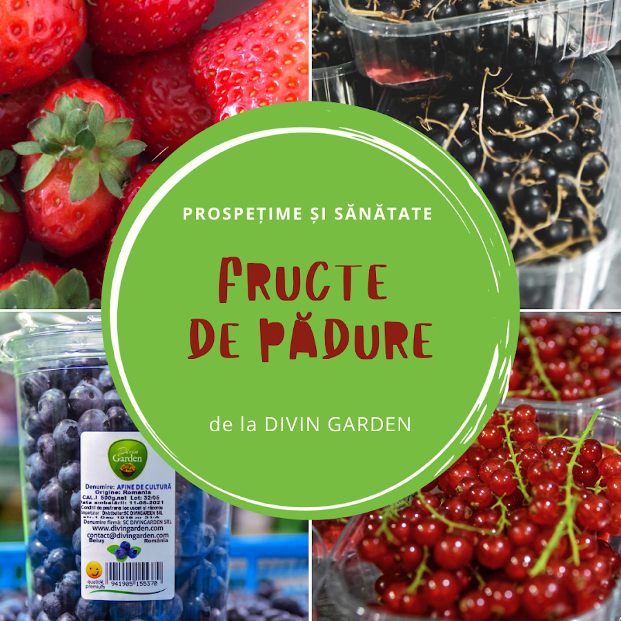 Foto von Divin Garden