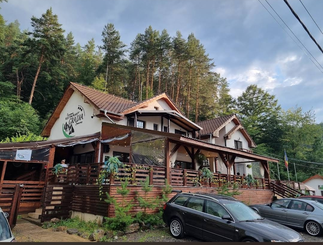 Fotografie de Pensiunea Restaurant Gradia