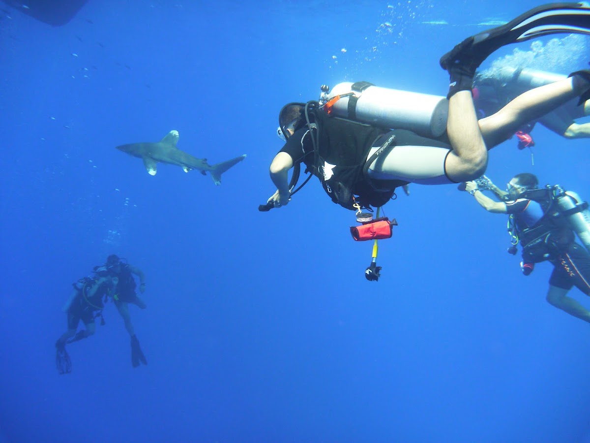 Foto di Centrul de scafandri MasterDiving