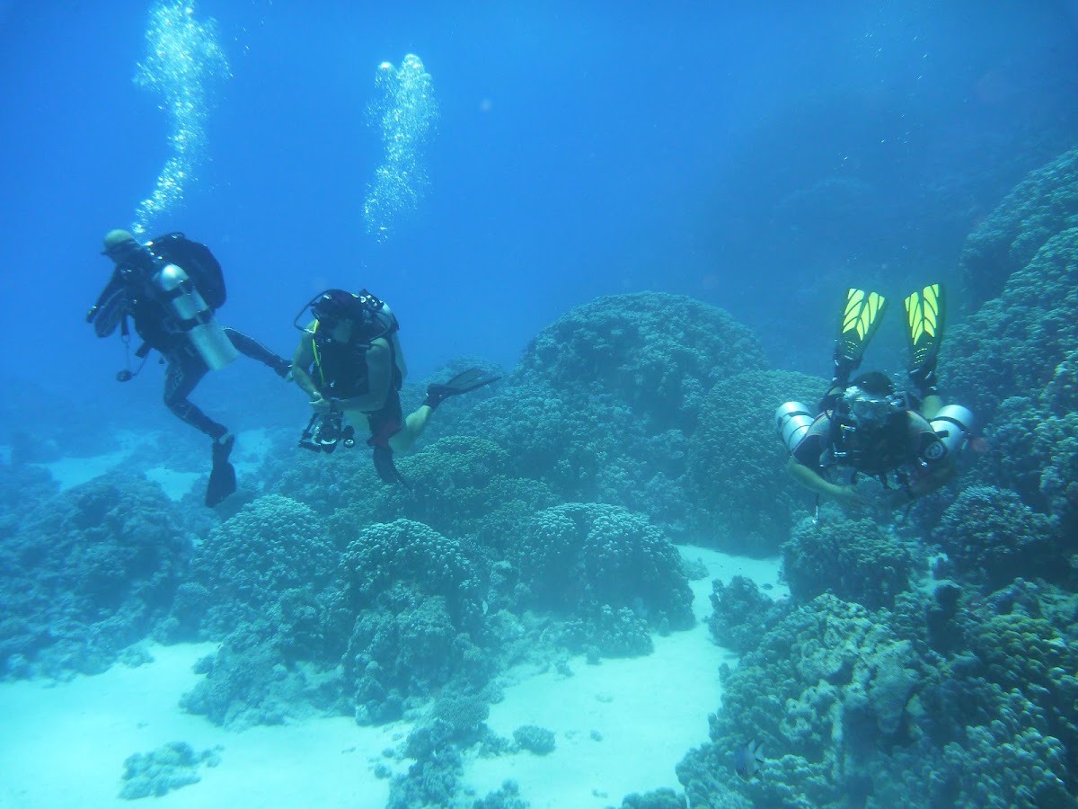 Foto di Centrul de scafandri MasterDiving