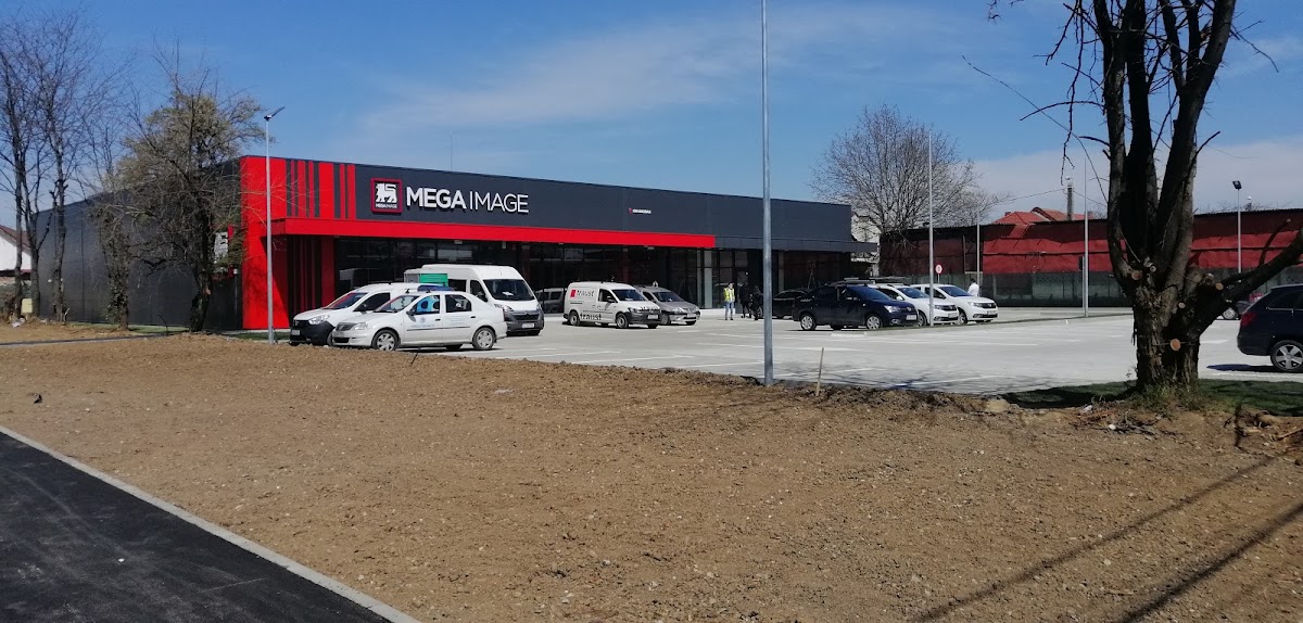 Fotografie cu Mega Image
