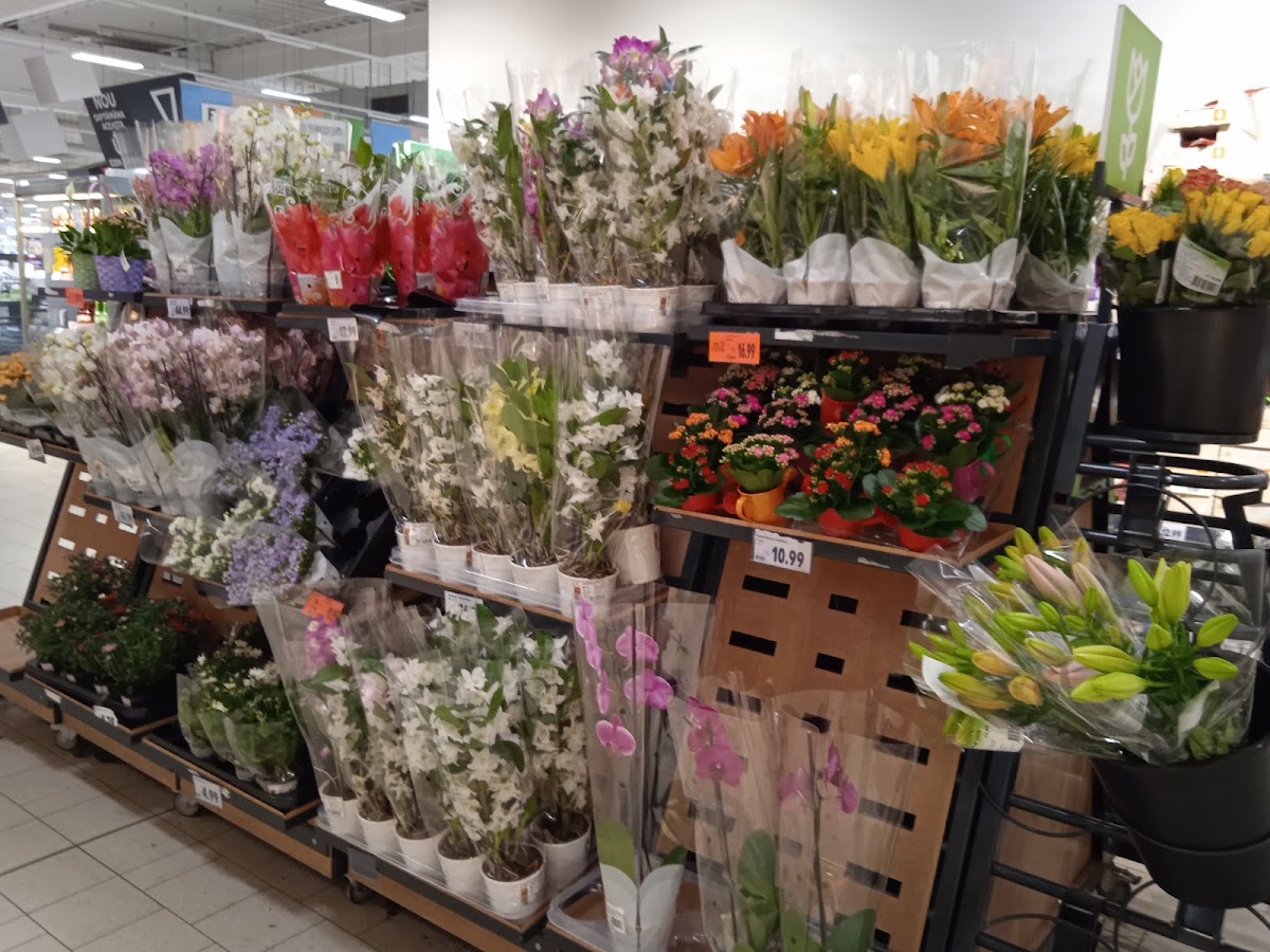 Photo de Kaufland