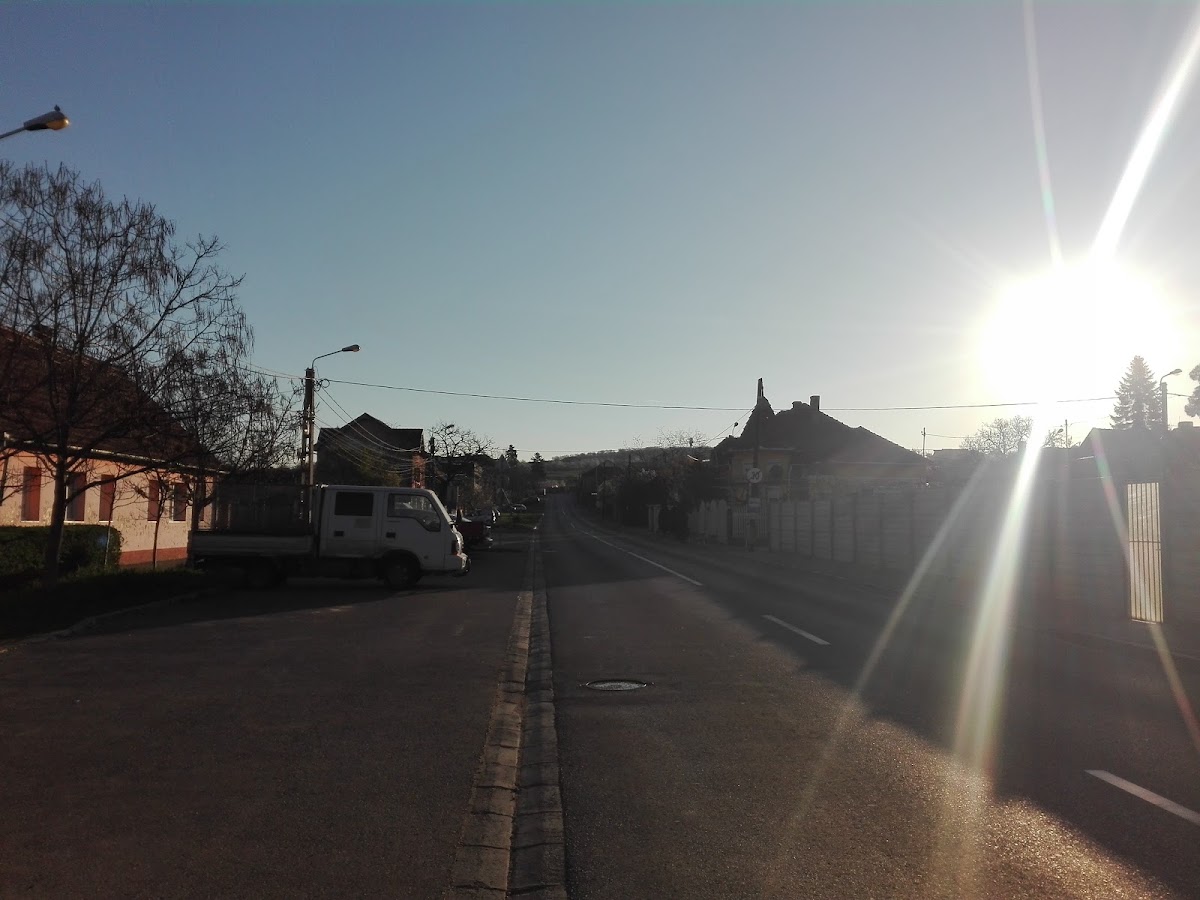 Photo of Cidor