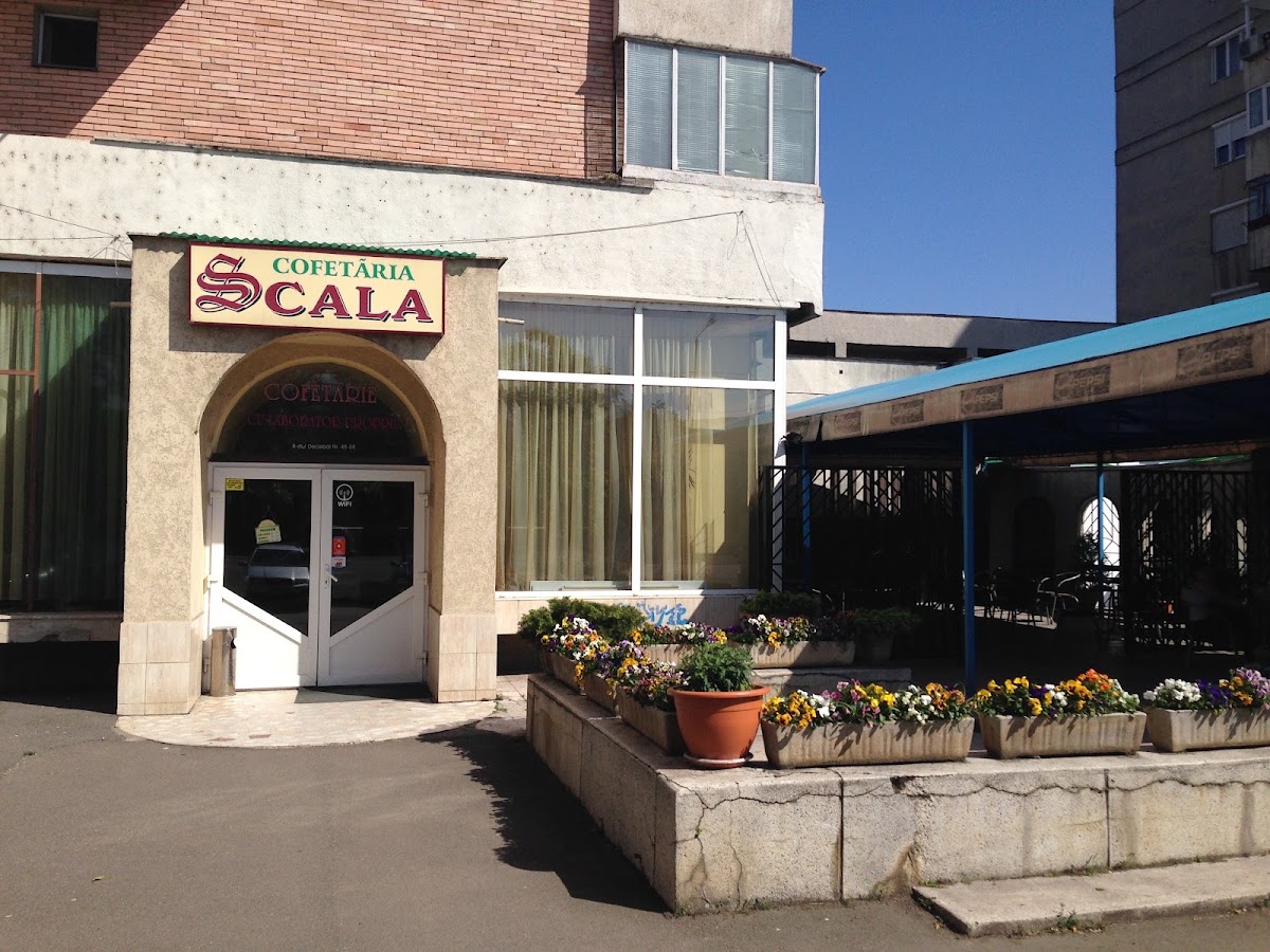 Fotografie cu Scala SRL