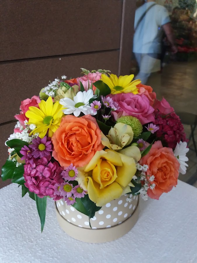Photo of Flor Delis