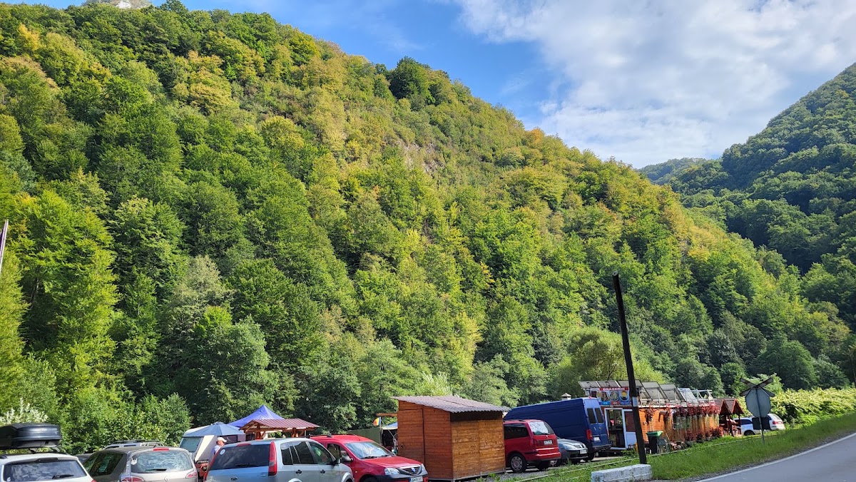 Photo de BRASERIE SIPOTE