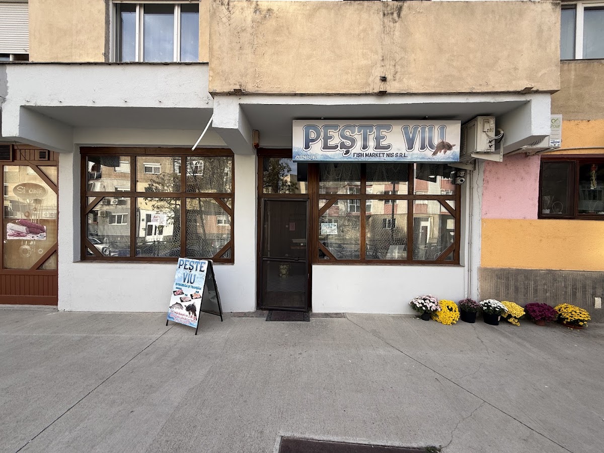 Photo of Magazinul de Peste VIU