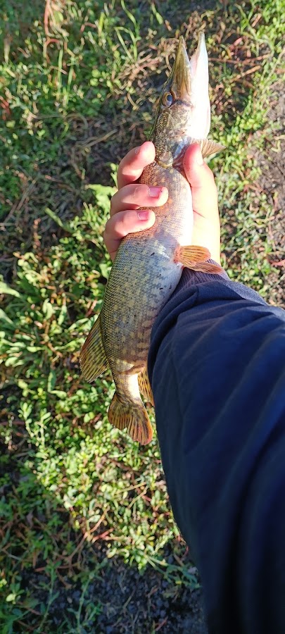 Photo de King-Fish.ro - Articole pescuit