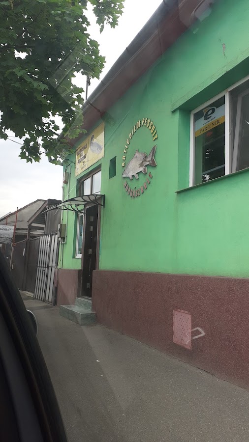 Foto von Garnai Zsolt Articole pescuit