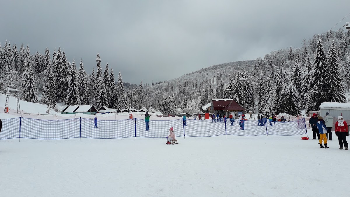 Photo de Stâna de Vale