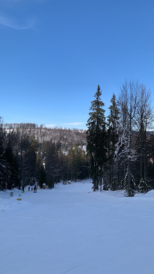Photo de Stâna de Vale