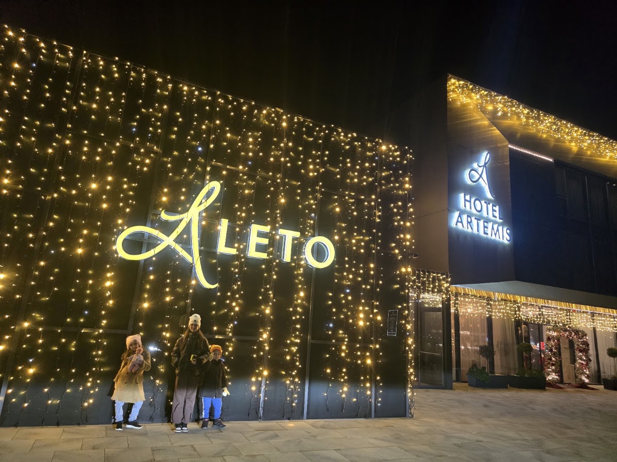 Photo of Hotel Artemis