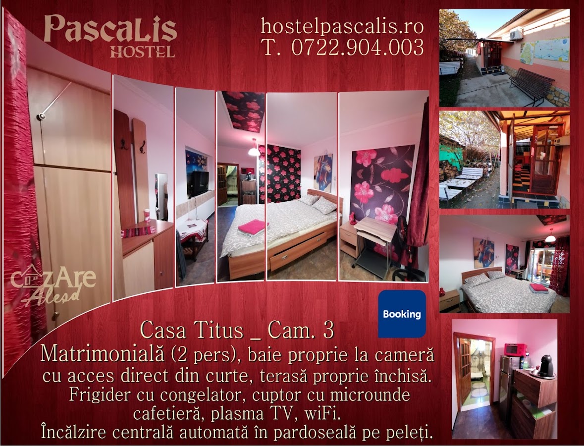 Photo of PASCALIS Hostel_Cazare Alesd