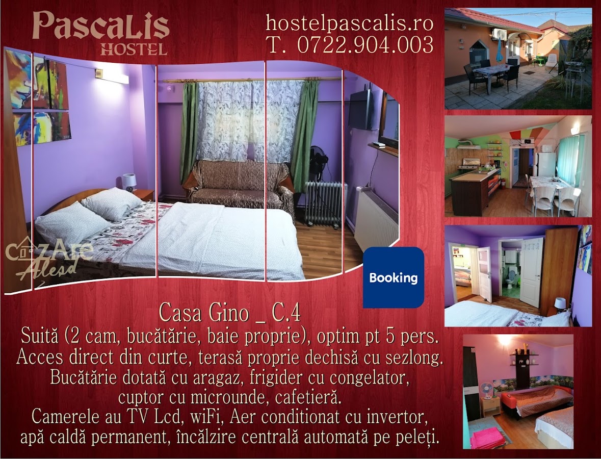 Photo of PASCALIS Hostel_Cazare Alesd