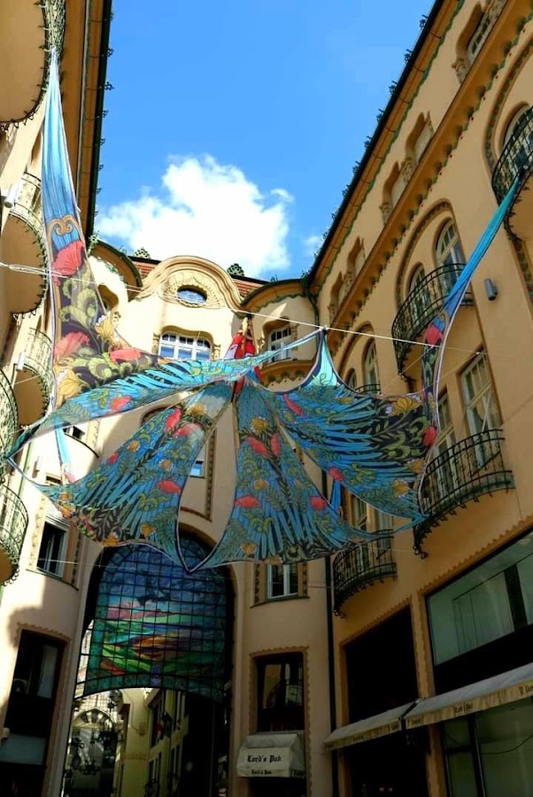 Foto von Fox Inn Oradea
