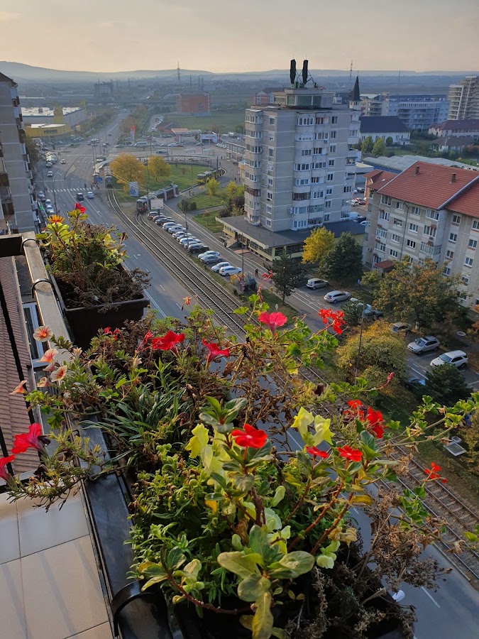 Photo de Penthouse Apartament Nufarul Oradea