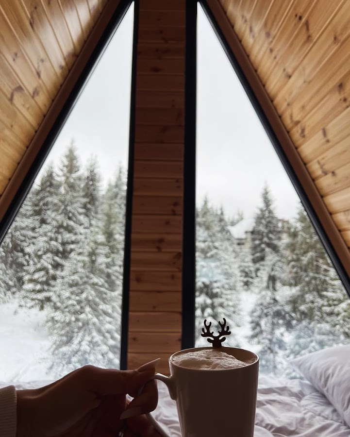 Photo de Black Chalet Apuseni