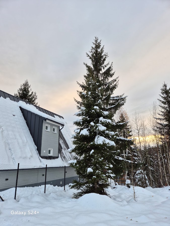 Foto von Chalet Nordic Grey