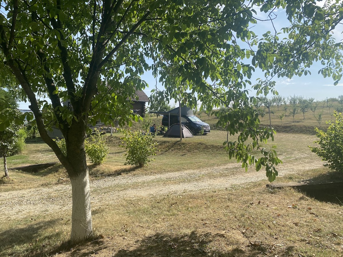 Fotografie de Camping BIOFINCA