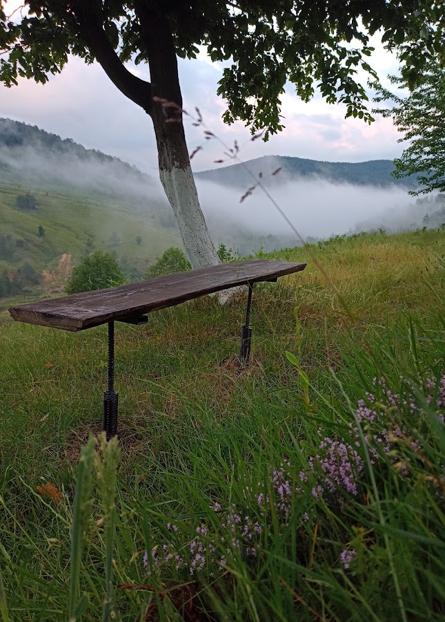 Photo de Camping DAScamping Vârciorog