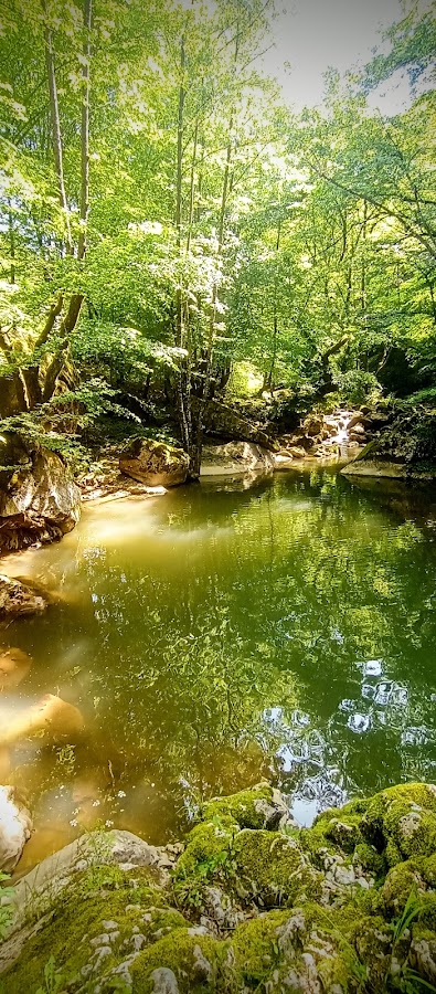 Photo de Camping DAScamping Vârciorog
