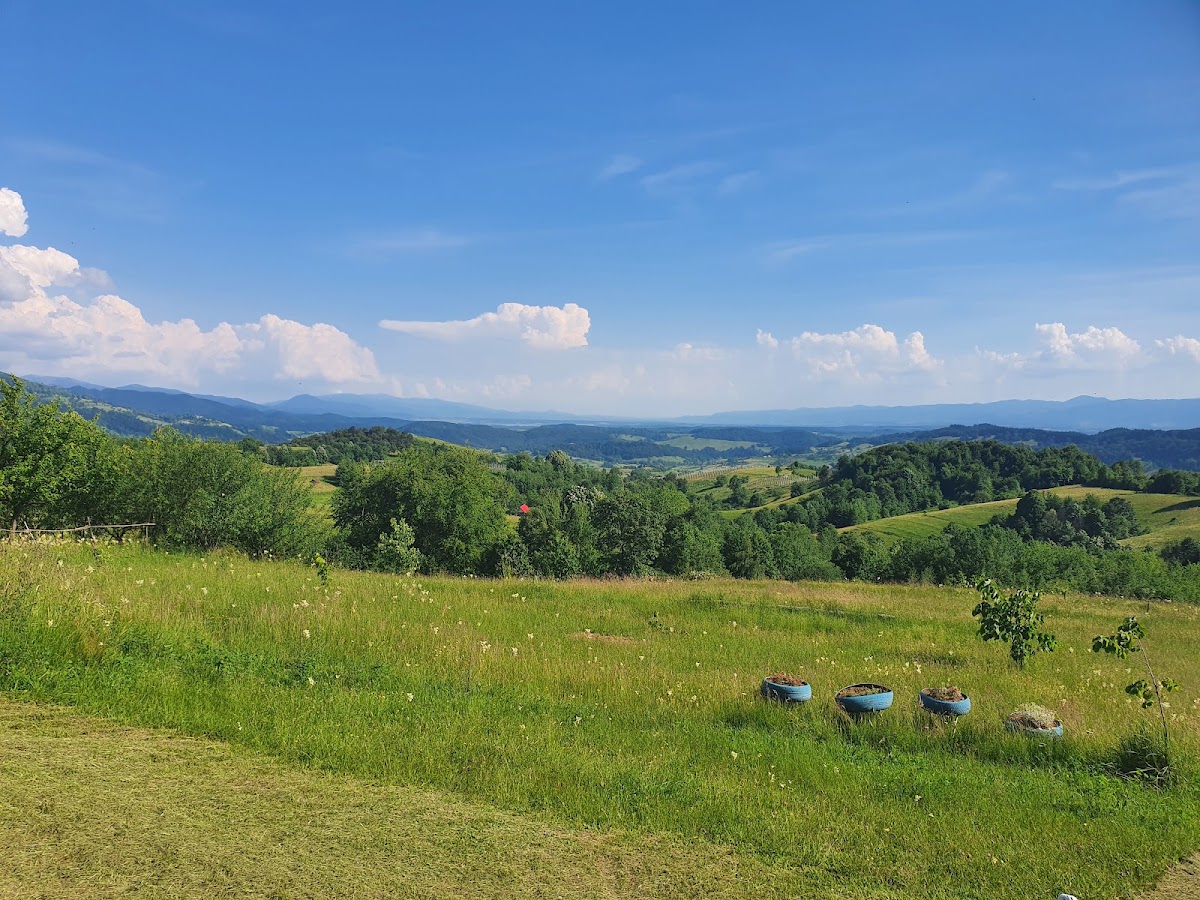 Photo of La Busuri Camp Roșia