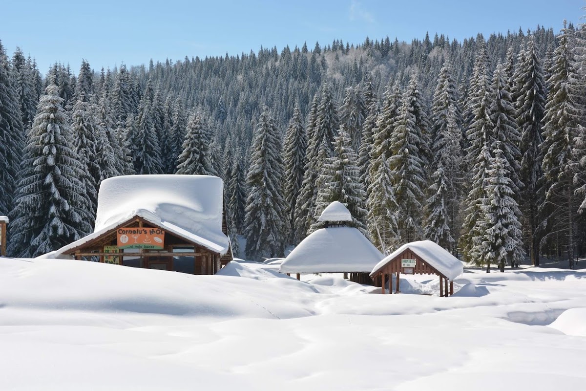 Photo of Glăvoi
