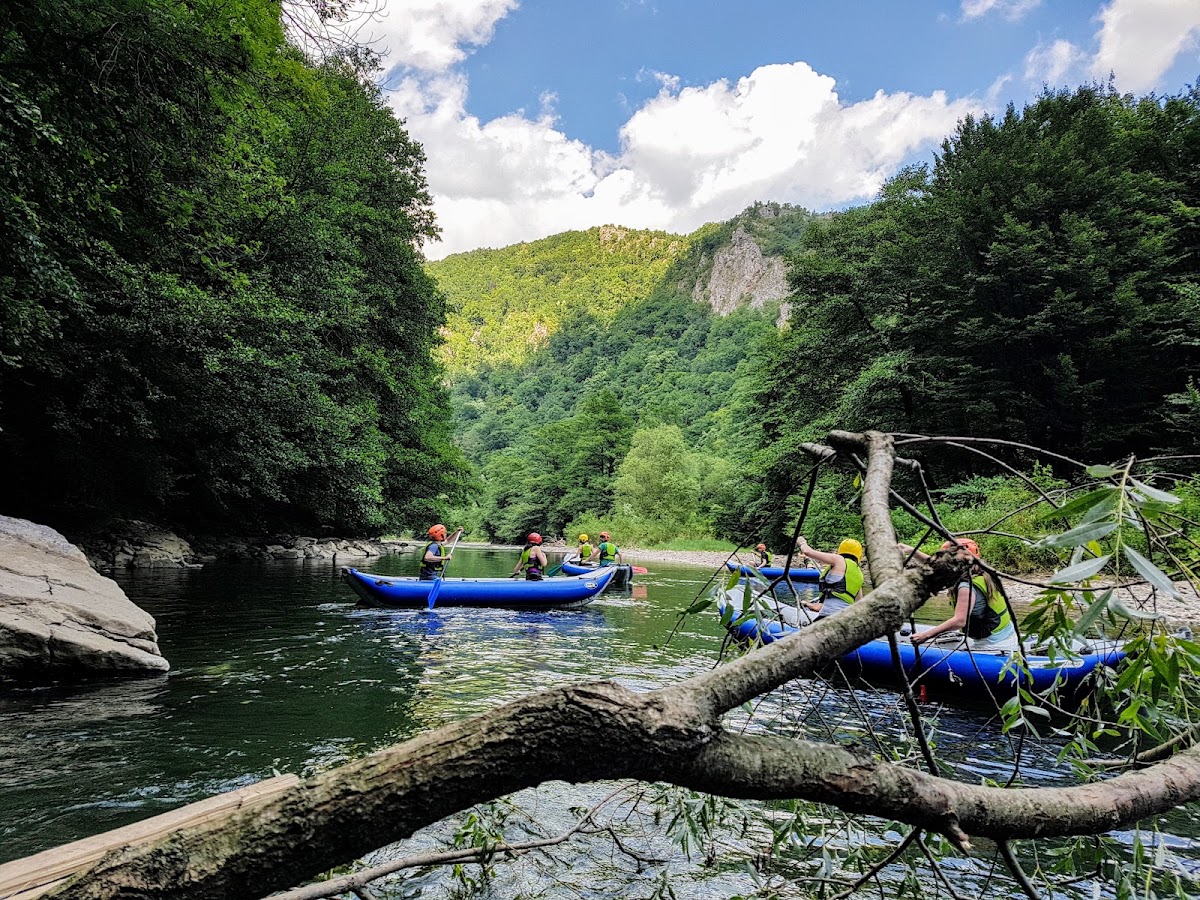 Fotografie de Camping Șuncuiuș