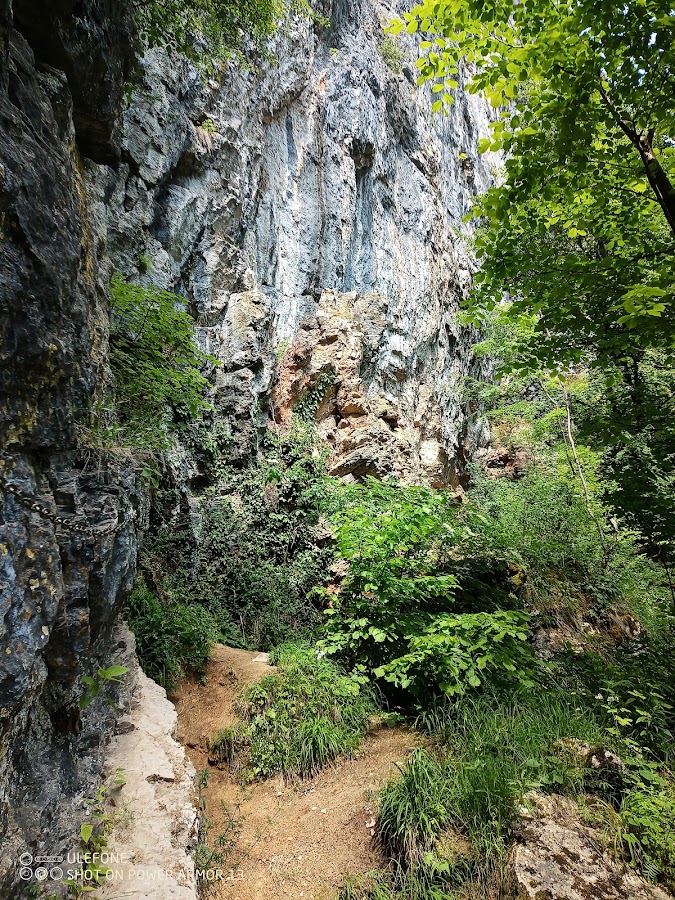 Fotografie de Camping Șuncuiuș