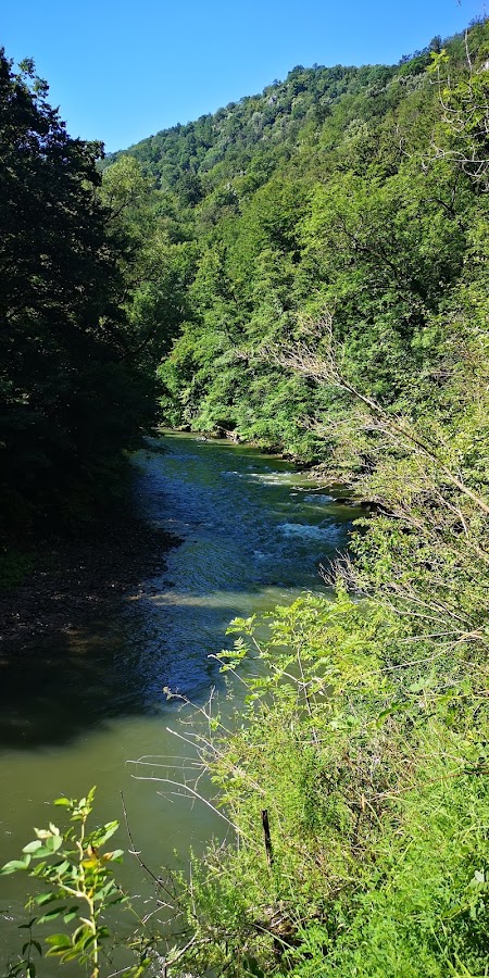 Photo of Camping Vadu Crisului
