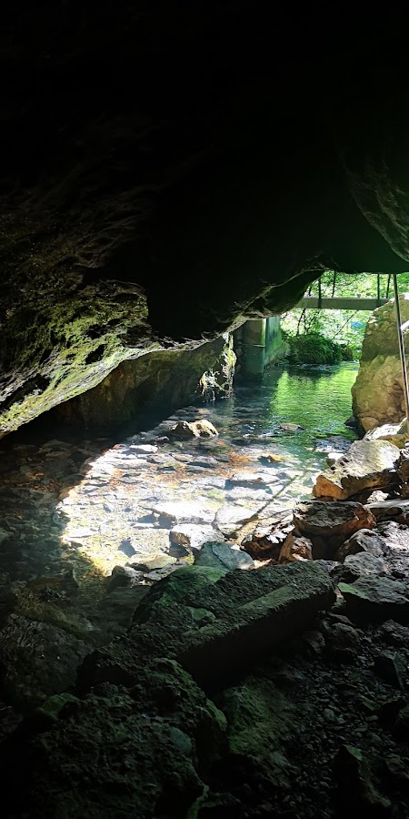 Photo of Camping Vadu Crisului