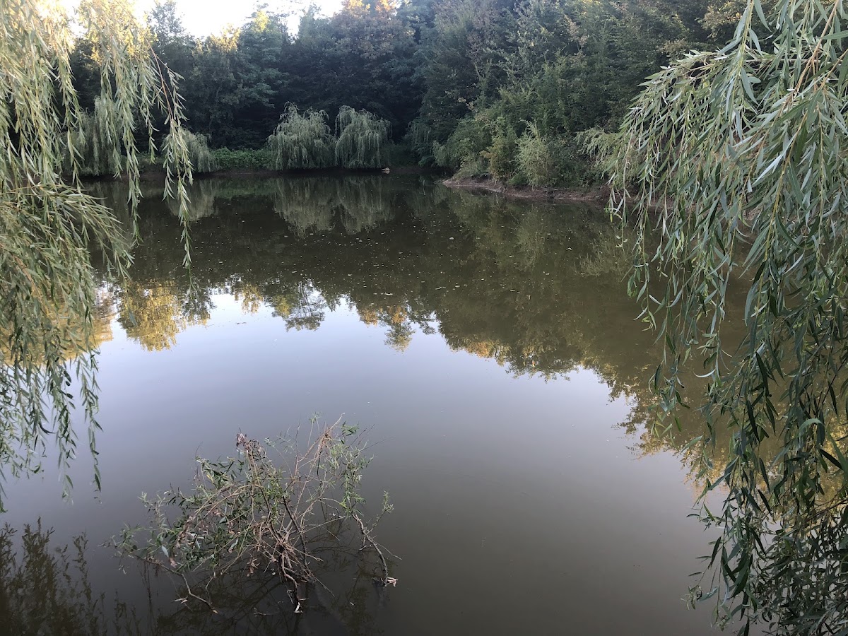 Fotografie de Taul Dacilor