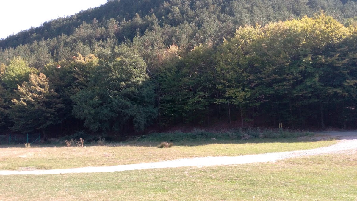 Photo of Camping liber Finiș