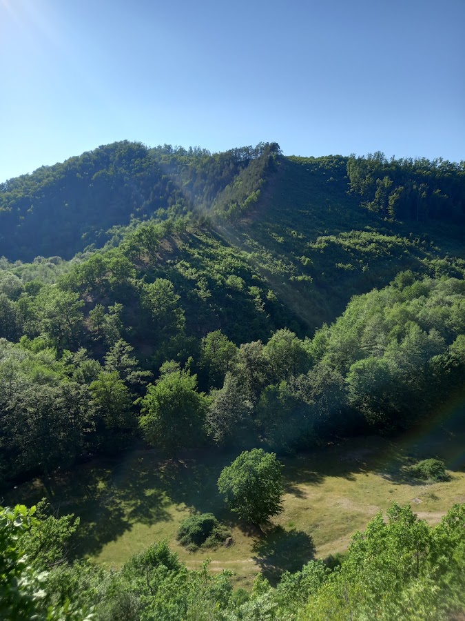 Photo of Camping liber Finiș