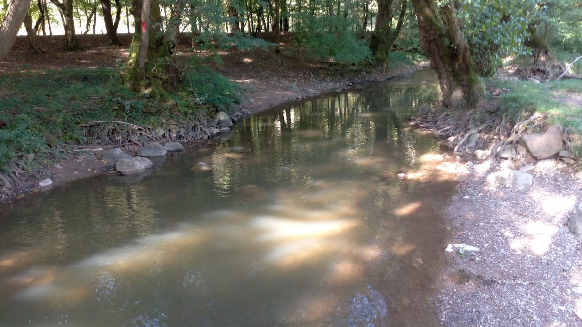 Photo of Camping liber Finiș