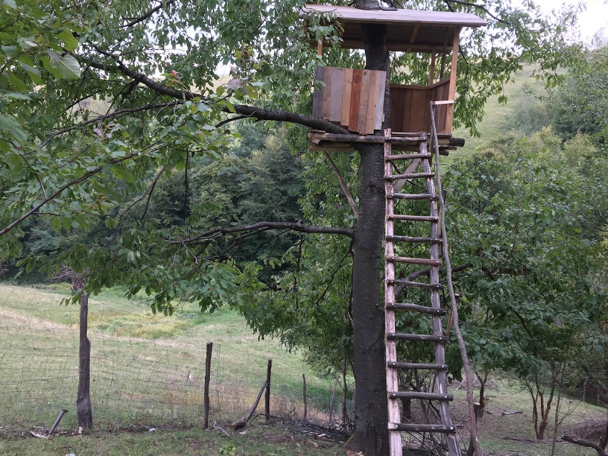 Photo de la Ferme RoseHipHill