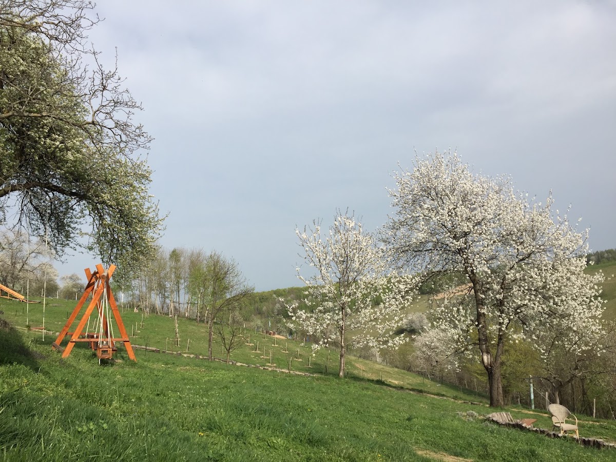 Photo de RoseHipHill Farm