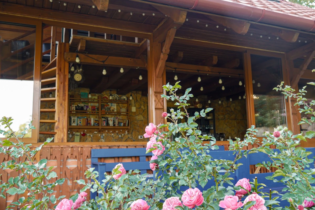 Photo de RoseHipHill Farm