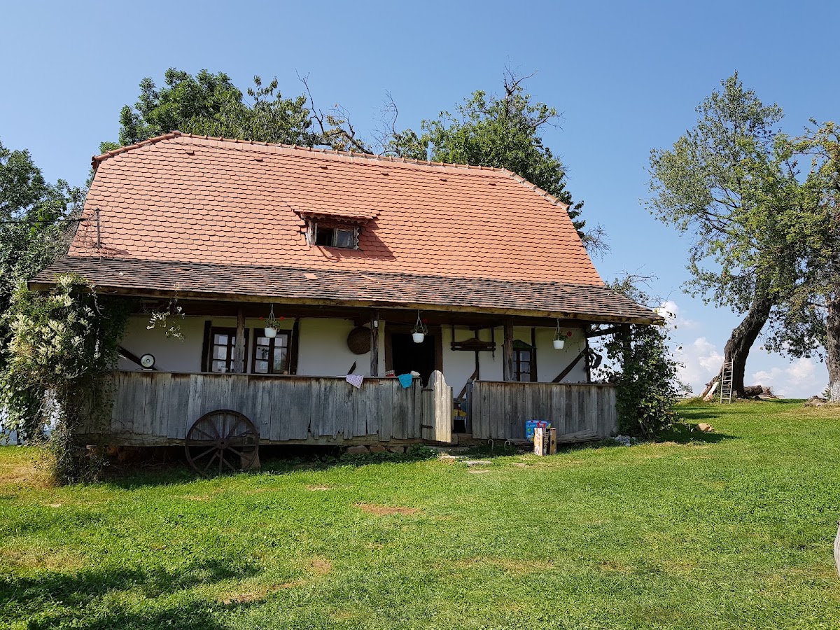 Photo of TRADITIONAL CASA EXPERIENCE SRL
