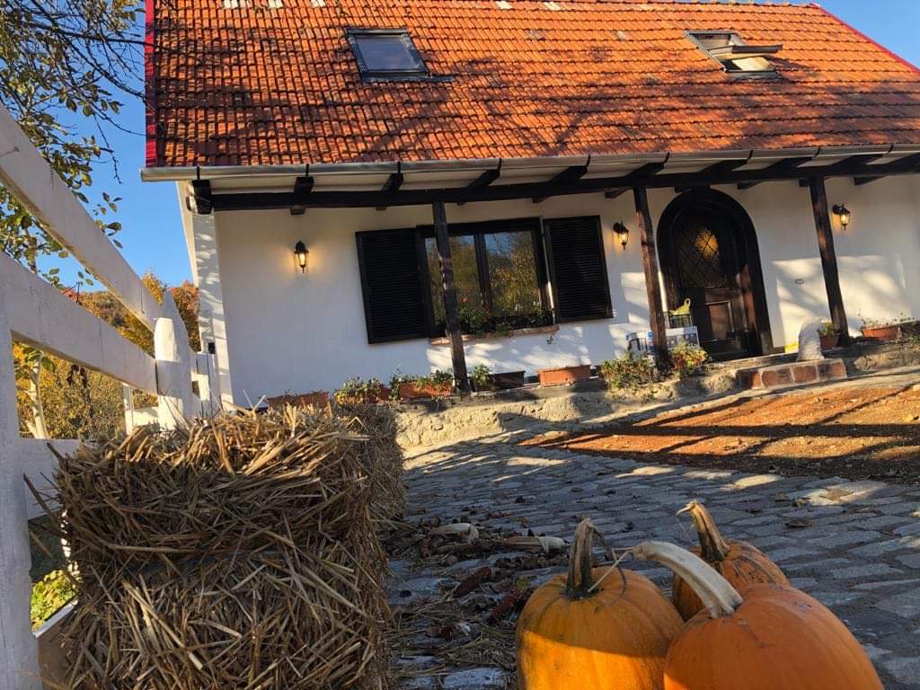 Fotografie de Apusenium Guesthouse