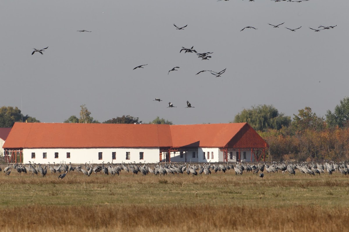 Foto von Bibic Natur-Lodge