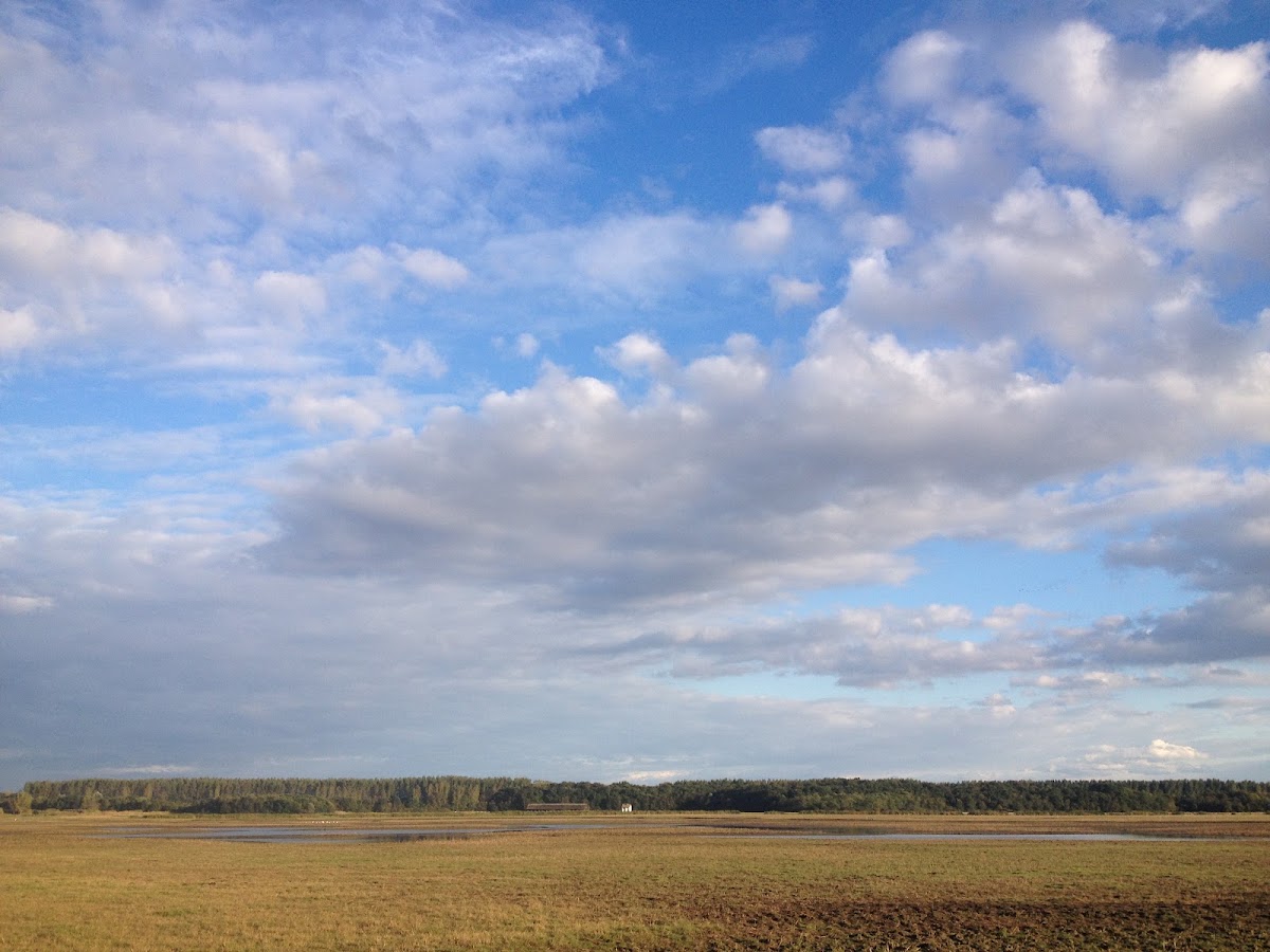 Foto von Bibic Nature Lodge