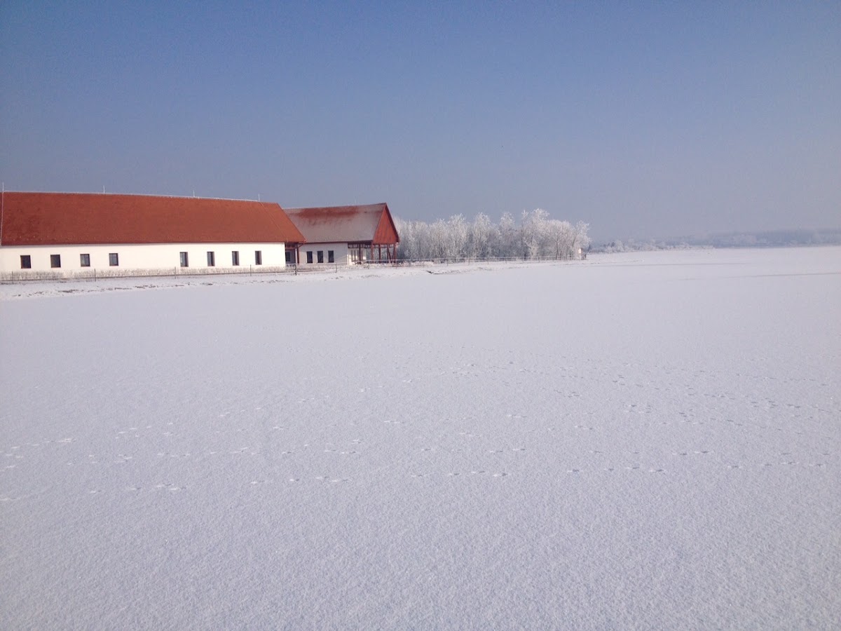 Foto von Bibic Nature Lodge