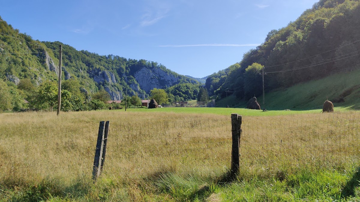 Photo de Cabana Valea Iadului
