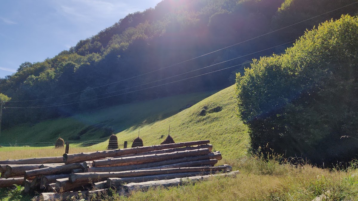 Photo de Cabana Valea Iadului